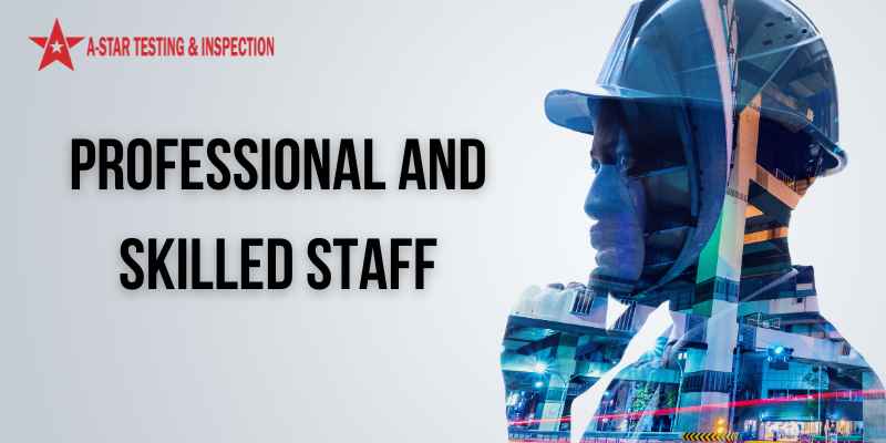 Professional Manpower Services