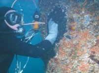 Underwater Inspection Services in India